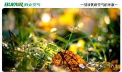 步入秋天，空氣凈化器不可或缺